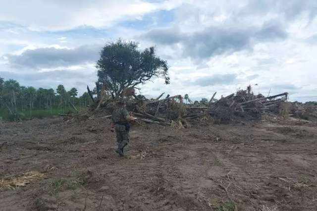 Fazendeiro &eacute; multado em R$ 138 mil por desmatar vegeta&ccedil;&atilde;o nativa