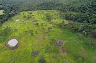 Área desmatada foi identificada com auxílio de drones e GPS. (Foto: Divulgação/Polícia Militar Ambiental)