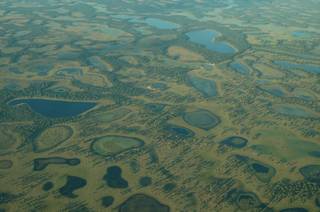 Ilhas de água no Pantanal de MS. (Foto: André Luiz Siqueira/Ecoa)