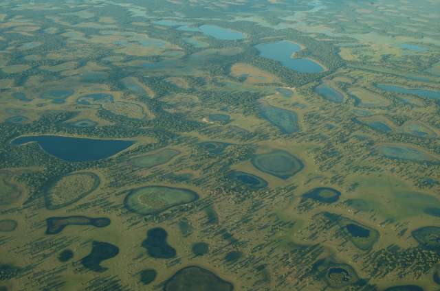 Alerta do Dia das &Aacute;guas &eacute; o risco de nova trag&eacute;dia no Pantanal