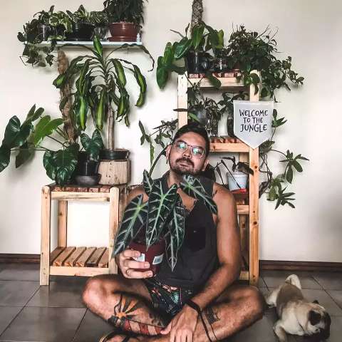 Marcelo transforma ap&ecirc; de 65 m&sup2; em &ldquo;selva&rdquo; com mais de 100 plantas