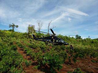 Agentes descem de helicóptero da PF brasileira em roça de maconha (Foto: Divulgação)