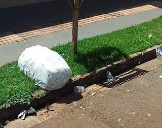 Lixo espalhado e saco de lixo jogado em calçada. (Foto: Direto das Ruas)