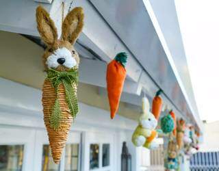 Pendurados, coelhos divedem espaço com cenouras que Beth mesma costurou (Foto: Kísie Ainoã)
