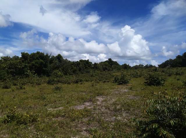 Com GPS, desmatamento &eacute; descoberto e produtor multado em R$ 50 mil