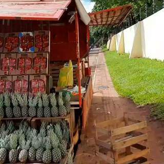 Frutas vendidas por Danilo diariamente na kombi (Foto: Direto das Ruas)