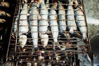 Mais barata que o bacalhau, sardinha é prática, econômica e participa no preparo de cada prato delicioso (Foto: André Patroni)