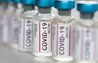 Frascos de vacina contra covid disponíveis para imunização (Foto: Pfizer/Divulgação)