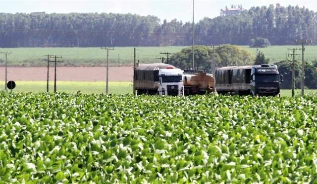 Na reta final, colheita da soja passa dos 90% em MS