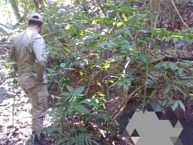 Homem &eacute; encontrado morto no meio da mata perto de c&oacute;rrego