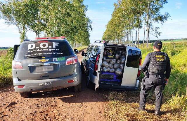 DOF apreende mais de R$ 2 milh&otilde;es em maconha dentro de carro roubado na MS-289