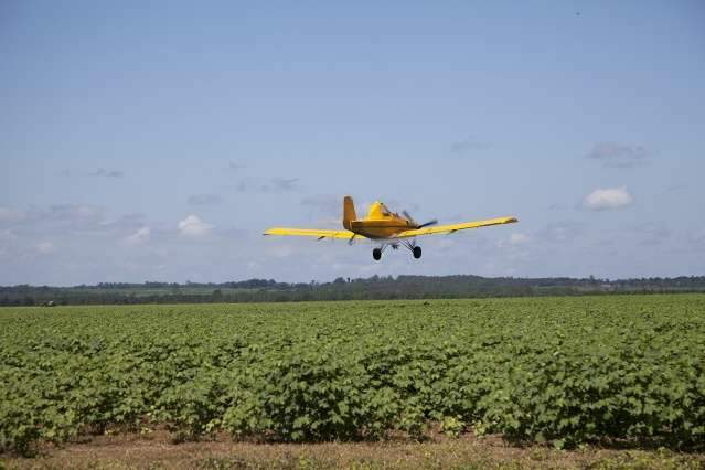 MP entra com a&ccedil;&atilde;o contra usina por pulveriza&ccedil;&atilde;o a&eacute;rea de agrot&oacute;xicos