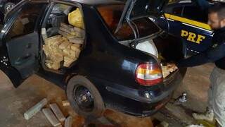Traficante foge de abordagem e abandona quase 600 quilos de maconha em milharal