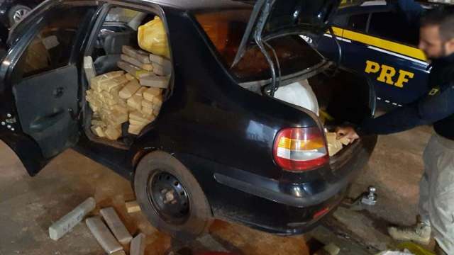 Traficante foge de abordagem e abandona quase 600 quilos de maconha em milharal