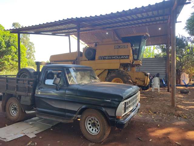 Chefe de furtos em fazendas planta 500 hectares de soja com dinheiro do crime