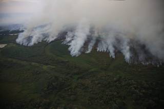 Maior RPPN do país teve 93% de sua área queimada (Foto: Divulgação/Sesc Pantanal)