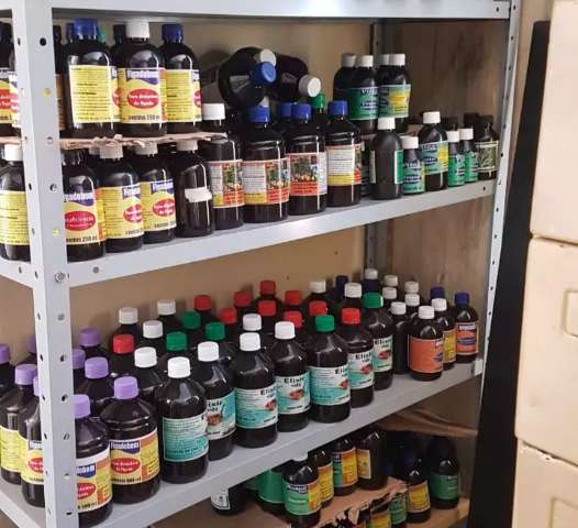 Comerciante &eacute; preso por vender raizadas com promessa de tratamento terap&ecirc;utico