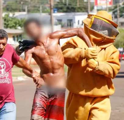 Atrapalhado, ladr&atilde;o invade casa e acaba atacado por enxame de abelhas