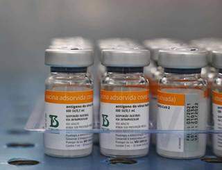 Doses de vacina contra a covid-19 da marca Coronavac (Foto: Paulo Francis/Arquivo)