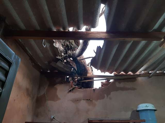 Durante ventania, galho quebra telhado e deixa casa sem energia