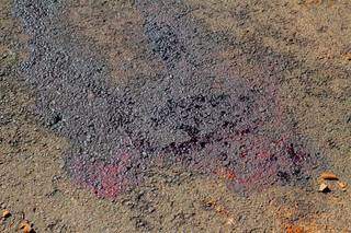 Vestígios do sangue da vítima ficaram no asfalto após o crime, (Foto: Marcos Maluf)
