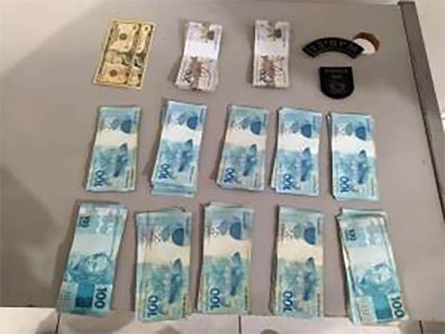 Transportando 26 cavalos ilegalmente, idoso &eacute; preso com d&oacute;lares e R$ 14 mil 
