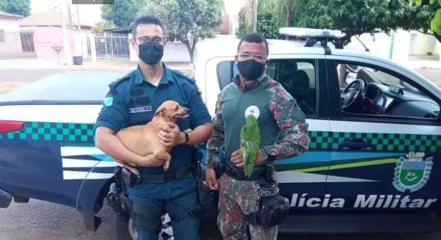 &quot;Fa&ccedil;o tudo por ele e esse &eacute; o pagamento?&quot;, chora m&atilde;e ap&oacute;s tortura de animais