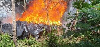 Maconha encontrada em acampamento é queimada durante operação (Foto: Divulgação)
