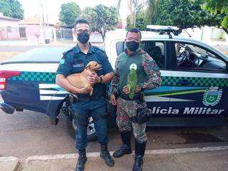 Cadela e papagaio foram apreendidos pela PMA nesta manhã em Água Clara (Divulgação/PMA)