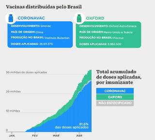 Os gr&aacute;ficos da vacina&ccedil;&atilde;o brasileira ap&oacute;s 3 meses