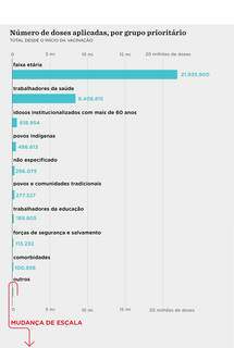 Os gr&aacute;ficos da vacina&ccedil;&atilde;o brasileira ap&oacute;s 3 meses