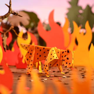 Papel transforma Pantanal em stop motion para falar sobre incêndios