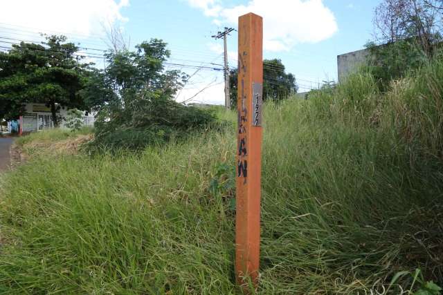 Envie foto daquele terreno baldio coberto pelo mato que tira a paz da vizinhan&ccedil;a