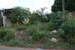 Terreno no Bairro Taquaral Bosque é problema para moradores da Rua Manduba (Foto: Kísie Ainoã)