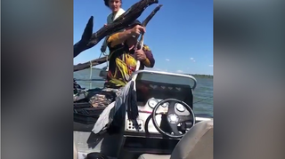 Locutor de rodeio salva garça que estava presa em galho no rio Paranaíba Locutor de rodeio salva garça que estava presa em galho no rio Paranaíba