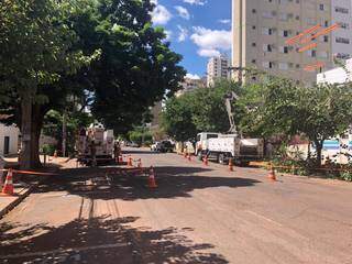 &Aacute;rvores do Centro recebem servi&ccedil;o de poda para evitar atrito com a rede el&eacute;trica