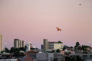 C&eacute;u claro e tempo est&aacute;vel predominam nesta quinta-feira