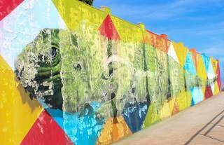 Foto do mural da Iguana em Boa Vista, obra custou R$ 400 mil (Foto: Vanessa Fernandes/G1 RR)
