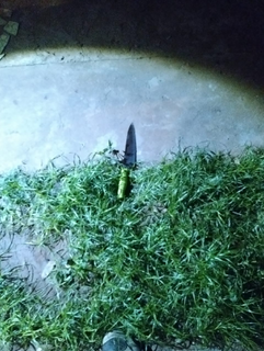 Homem que matou invasor para defender mulher &eacute; preso na casa da irm&atilde; 