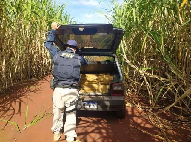 Motorista foge e abandona 301 quilos de maconha no porta-malas de Fiat Uno