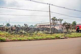 Pela 2&ordf; vez em menos de um ano, inc&ecirc;ndio em &aacute;rea de leiloeira queima ve&iacute;culos