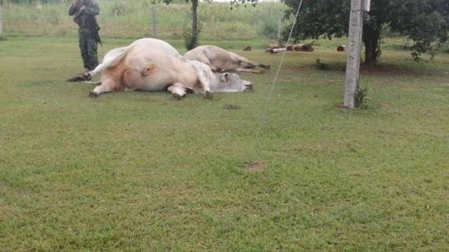 Guerrilheiros paraguaios espalham terror e atacam outra fazenda na fronteira