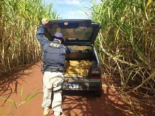 Motorista foge e abandona 301 quilos de maconha no porta-malas de Fiat Uno