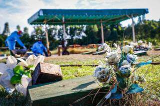 Flores são deixadas sobre túmulo em cemitério de Campo Grande (Foto: Henrique Kawaminami)