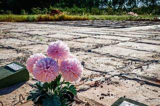 Flores sobre túmulo em cemitério de Campo Grande (Foto: Henrique Kawaminami)