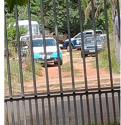 Ap&oacute;s den&uacute;ncia, policiais encontram 44 galos usados em rinhas