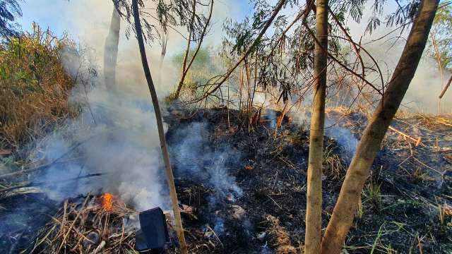 Adolescente tenta queimar lixo e p&otilde;e fogo em mato pr&oacute;ximo a barracos