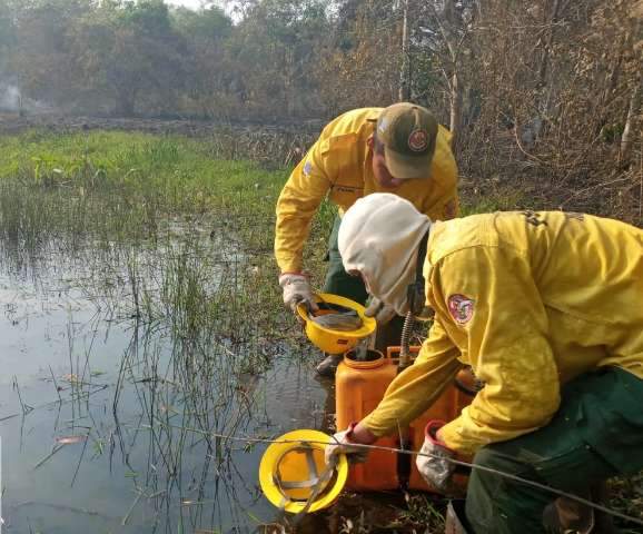 Estiagem leva governo a decretar emerg&ecirc;ncia ambiental em Mato Grosso do Sul