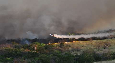 Perspectiva de seca severa leva Bombeiro a lançar plano e combate a incêndios