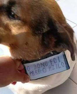 Placa que avisava o motivo do cão ser deixado no portão da casa (Foto: Arquivo Pessoal)